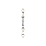 Белый и Серебряный