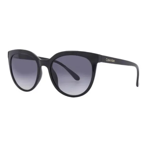 CALVIN KLEIN Пластик OVAL SUNGLASSES Женские Черный