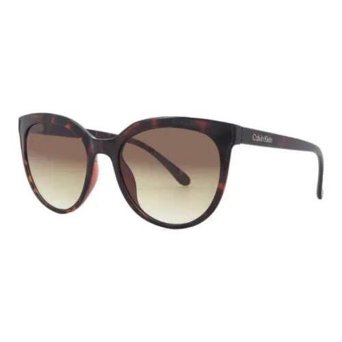 CALVIN KLEIN Пластик OVAL SUNGLASSES Женские Коричневый