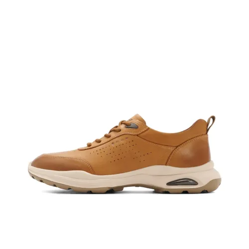 BELLE Casual Низкий Топ Мужской