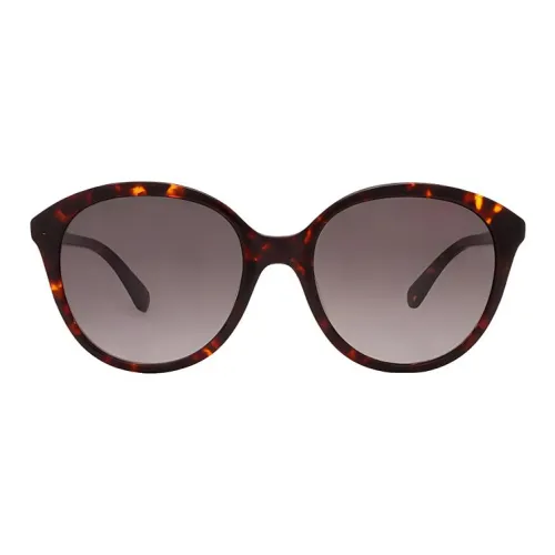 Kate Spade Пластик Кошачий глаз Солнцезащитные очки Женские Гаванский