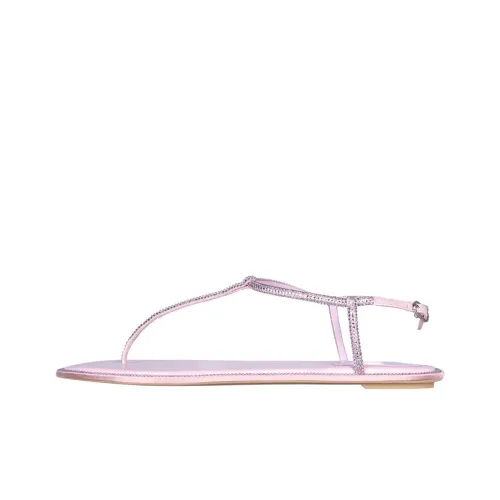 RENE CAOVILLA One Ремешок Сандалии Женские Розовые
