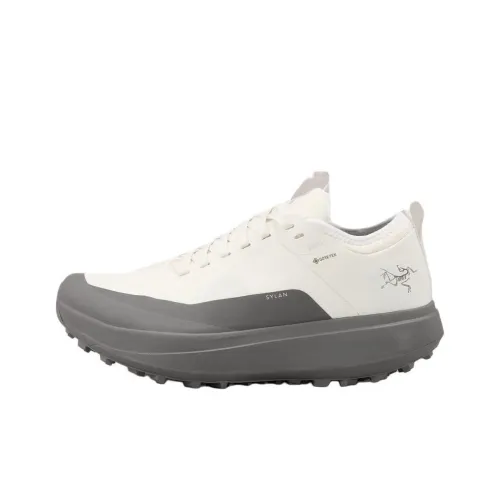 Arcteryx SYLAN Беговые кроссовки Низкий топ Белый Серый Женские