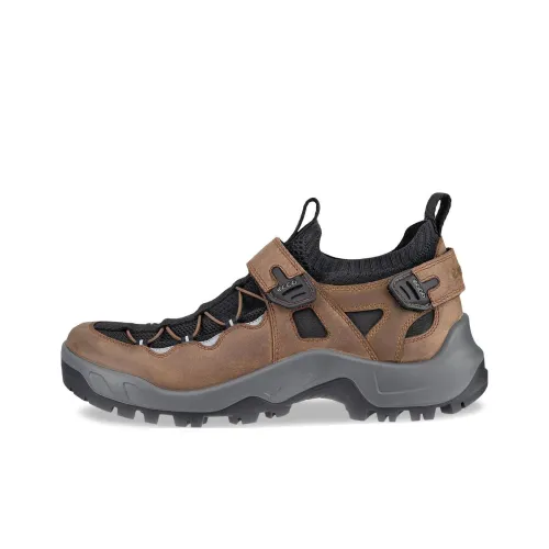 Ecco OFFROAD Альпинистские и туристические ботинки Низкий верх Коричневый Мужской