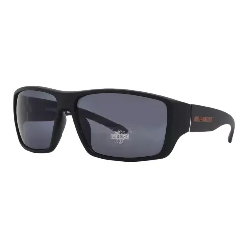 Harley Davidson Солнцезащитные очки Мужские