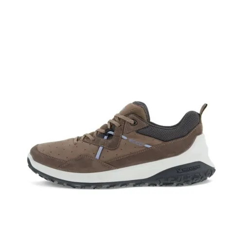 Ecco Низкий Топ Спортивная Повседневная Обувь Женская Тауповая