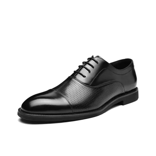 HLA Обувь Низкий Топ Черный Мужской