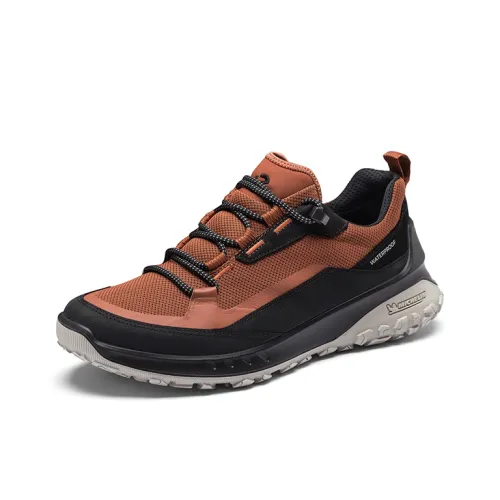 Ecco Otto Series Casual Low Top Черный Коричневый Мужской