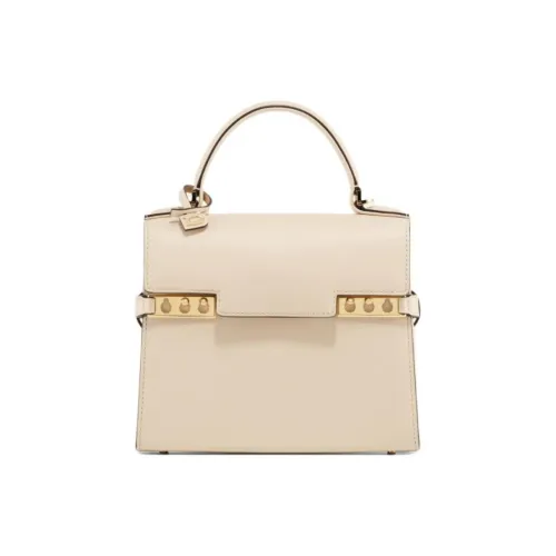 Delvau Tempête Телячья кожа Сумка через плечо Сумка Маленькая Женская Бежевая