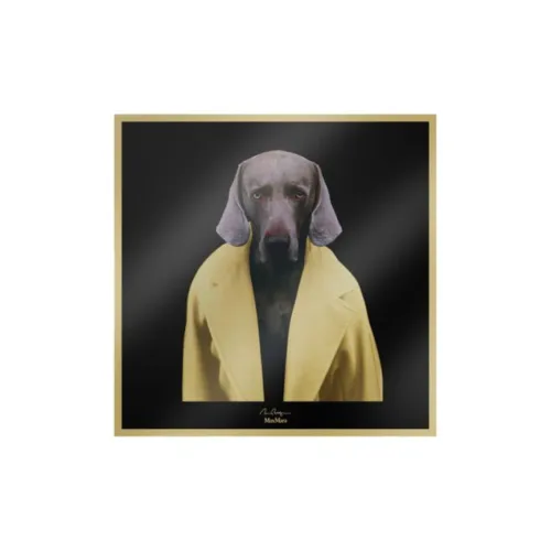 MaxMara Шелковые Шарфы Женские Многоцветные