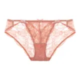 Осенний бегония розового цвета.