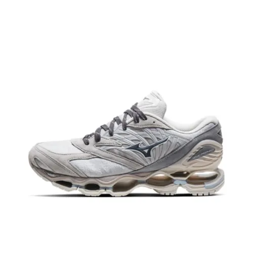 Mizuno Wave Prophecy LS Повседневный Низкий Топ Серый Унисекс