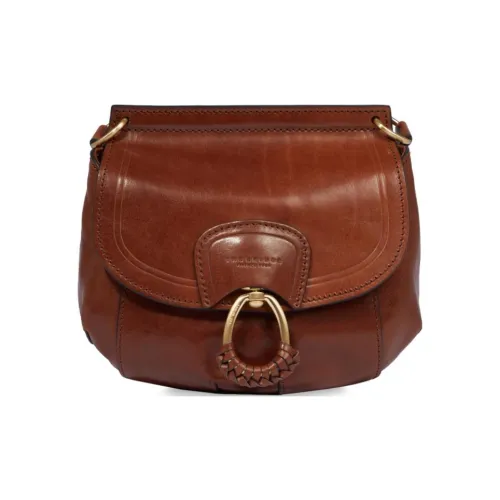 THE BRIDGE Кожа Сумка через плечо Стандартная Женская Коричневая и Золотая