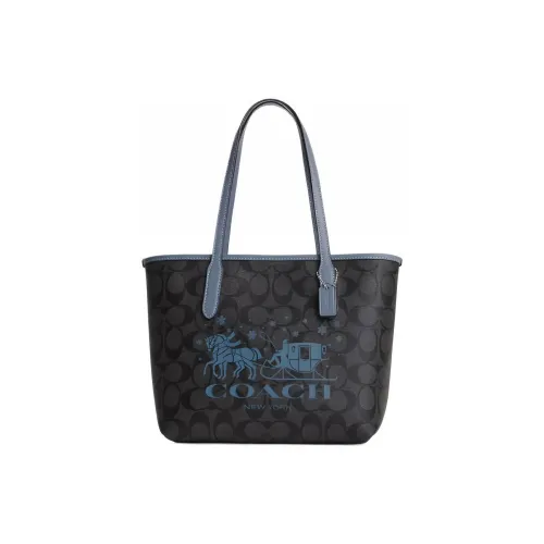 COACH City Canvas с кожаными вставками сумка-тоут сумка для покупок сумка через плечо женская коричневый и синий