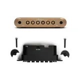 Шампанское золото