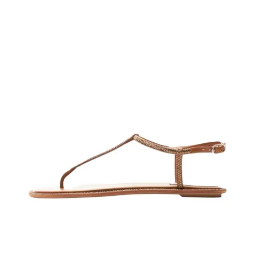 RENE CAOVILLA Diana One Ремень Сандалии 1см Женские Коричневый