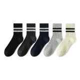 Чёрный 1 - Тёмно-серый 1 - Тёмно-синий 1 - Серый 1 - Белый 1 [5 пар]