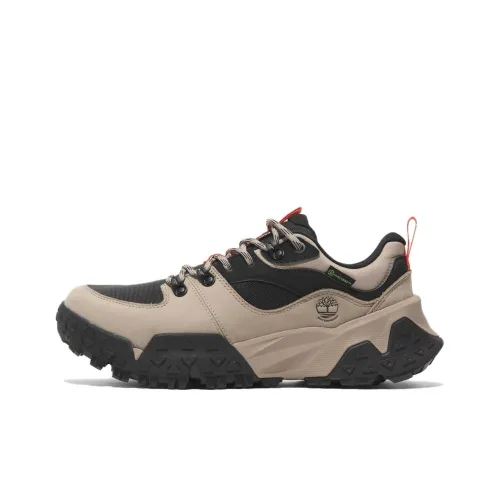 Timberland Уличная обувь Низкий топ Тауповый Мужской