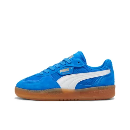 PUMA Palermo Series Low Топ Скейтборд Кроссовки Унисекс Синий