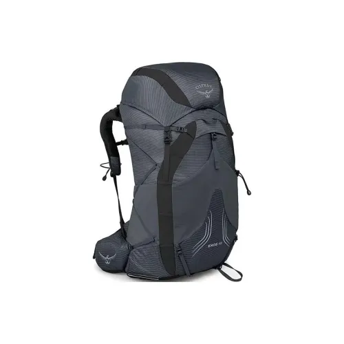 OSPREY Туристические сумки Tungsten Серый Мужской