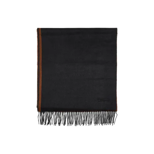 Ermenegildo Zegna Шелковые шарфы Мужской