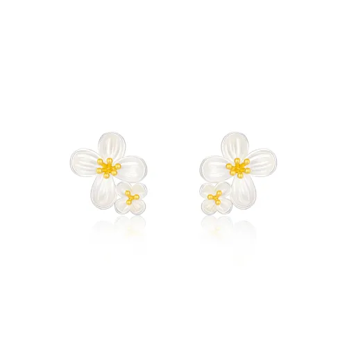 ZSY 999 Fine Серебряные серьги с заклепкой Женские