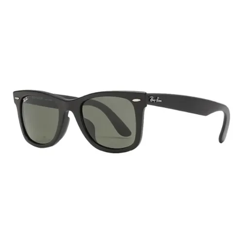 RayBan Пластиковая оправа OVAL SUNGLASSES Мужской Черный