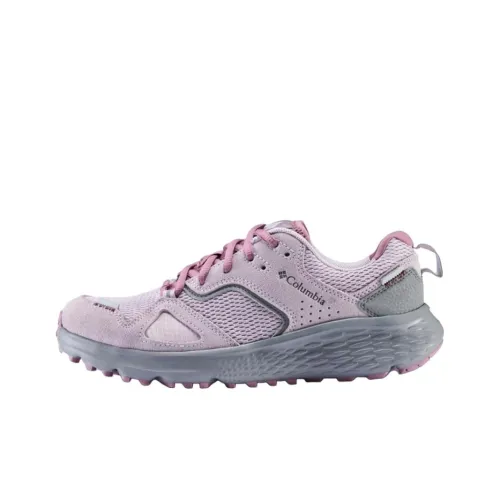 Columbia Outdoor Life Slip-resistant Abrasion-resistant Breathable Low-Top Streetwear Women's Pink Колумбия Outdoor Life Противоскользящий Устойчивый к износу Дышащий Низкий Топ Уличная Обувь Женская Розовая