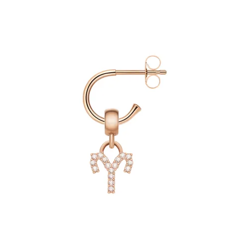 Daniel Wellington Кристальные серьги-гвоздики женские