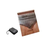 21-струнный+ЭВА Чехол для скрипки