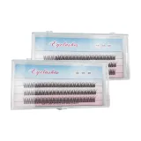 Фиштейл Микс Стиль Накладные ресницы, 2 коробки [120 стеблей]
