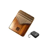 21-струнный+ЭВА Чехол для скрипки