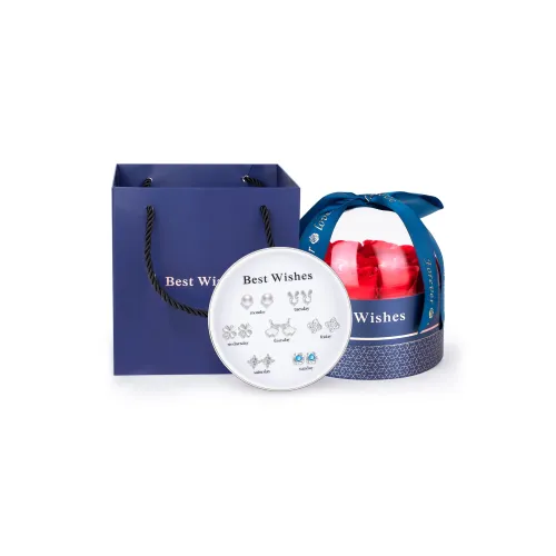 Серьги-гвоздики SFER S999 Серебряные Женские