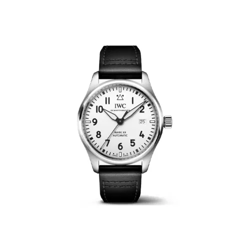 IWC Автоматический Механический Часы Мужской Pilot Collection 40 мм Белые