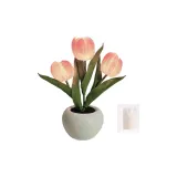 Розовый тюльпан