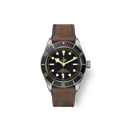 TUDOR Автоматический Механический Механизм Мужские Часы из Коллекции BLACK BAY 39 мм Черные