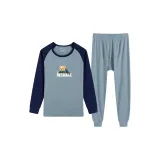 2120-RES Светло-Синий/Темно-Синий