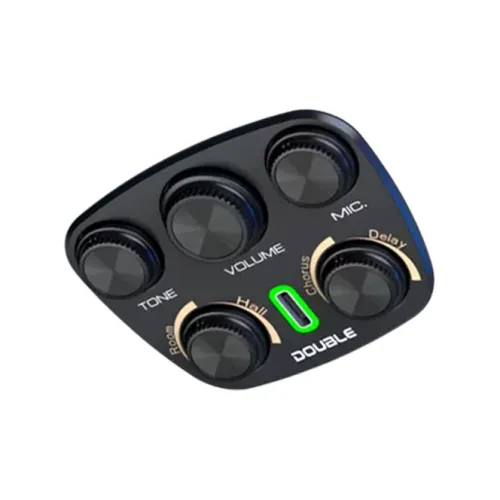 X2 DOUBLE Приемник