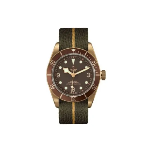 TUDOR BLACK BAY Collection Автоматический Механический Механизм Мужские Часы Часы 43 мм Кофейный Циферблат Часов