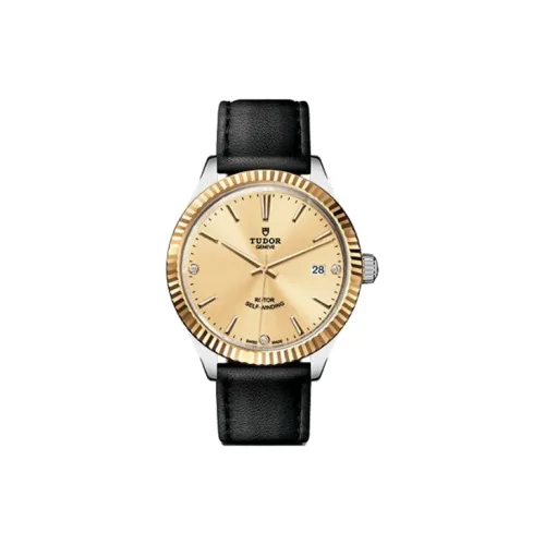 TUDOR Wind Style Collection Автоматический Механический Механизм Мужские Часы Часы 38 мм Золотой Циферблат
