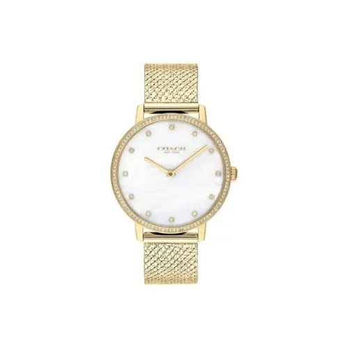 COACH Audrey Женские часы Кварцевый механизм корпус из нержавеющей стали ремешок 35 мм белый циферблат