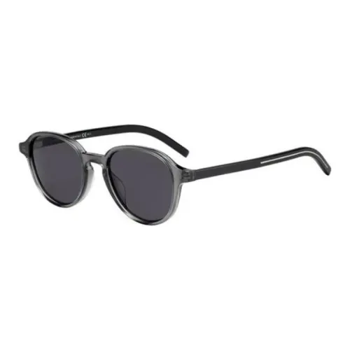DIOR Ацетат Пластик Металл OVAL SUNGLASSES Мужской Черный