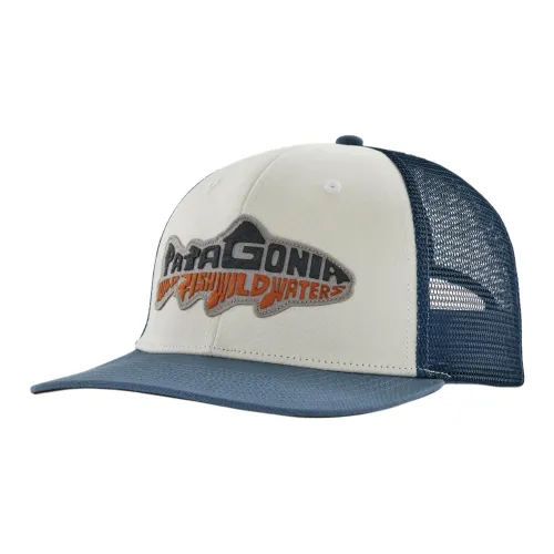 Кепки Patagonia Мужские