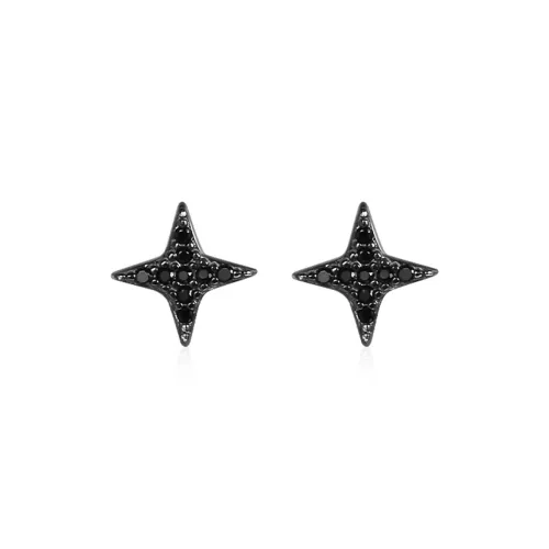 ZANC Серебро S925 Серьги-гвоздики Унисекс