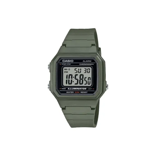 CASIO Кварцевый механизм Смольный ремешок Часы унисекс Серый циферблат