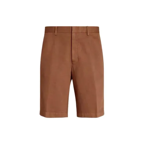 Ermenegildo Zegna Коричневые Мужские Повседневные Шорты
