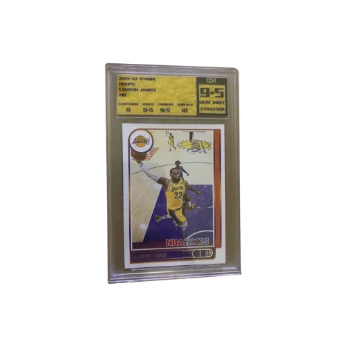 PANINI LeBron James 2021-22 Hoops COOR 9,5 минут Сертифицированные Карты 1 шт