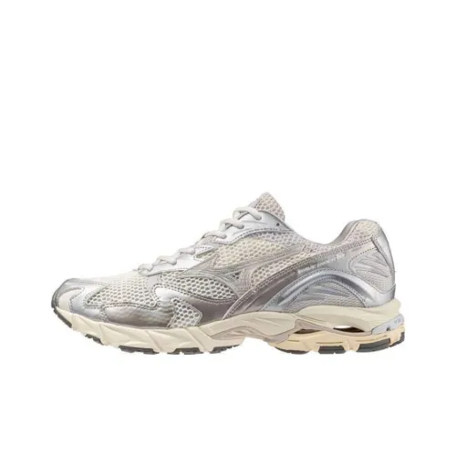 Кроссовки для бега Mizuno Wave Rider 10, низкий топ, серебристо-белый, мужской