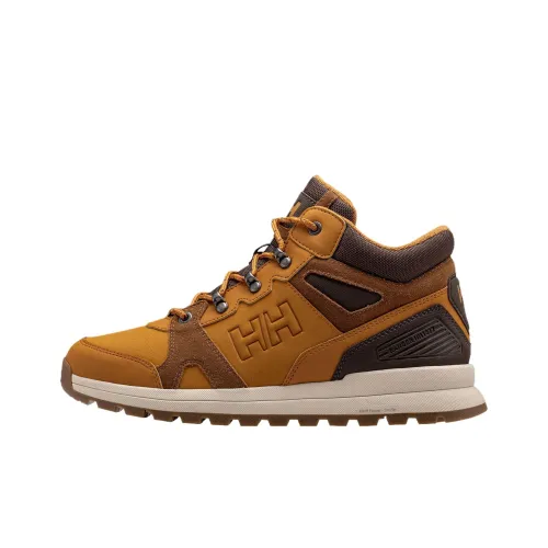 HELLY HANSEN Устойчивый к истиранию Outdoor Мужской Коричневый