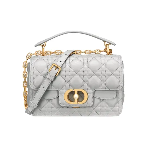 DIOR Сумка через плечо из коровьей кожи маленькая сумка для женщин цвет туманно-серый